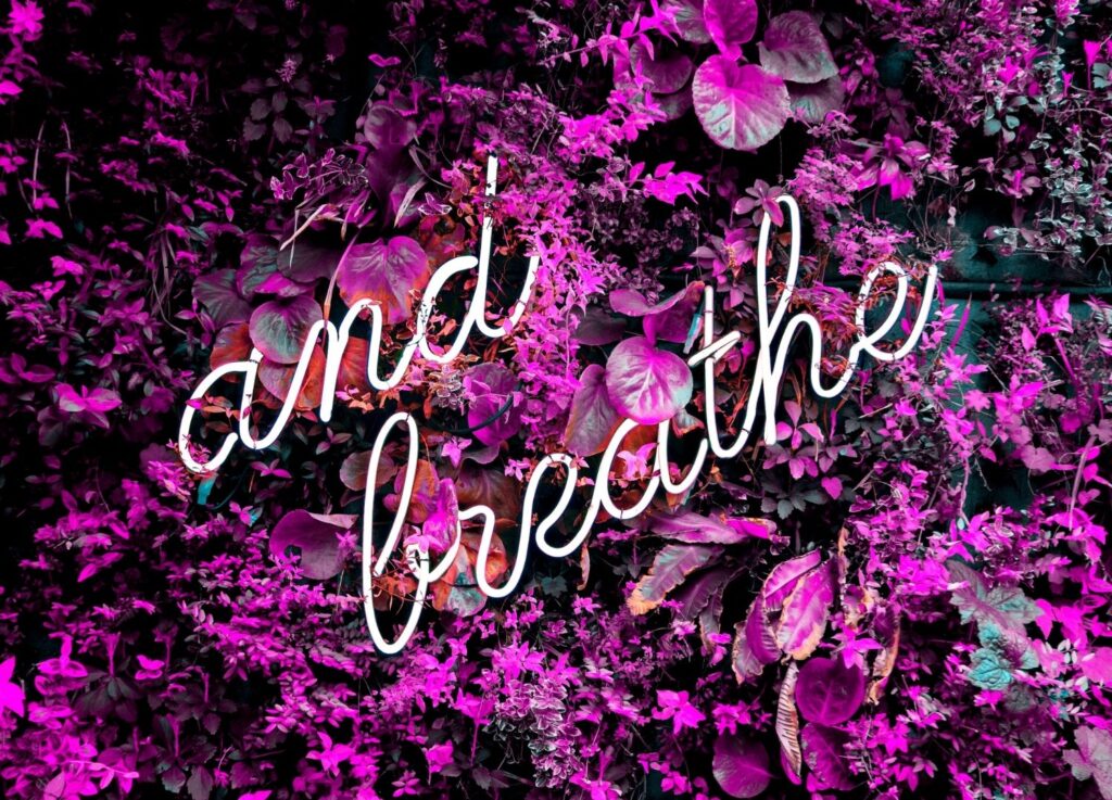 White neon sign reading and breathe surrounded by vibrant purple foliage, symbolizing mindfulness, calm, and mental wellness.