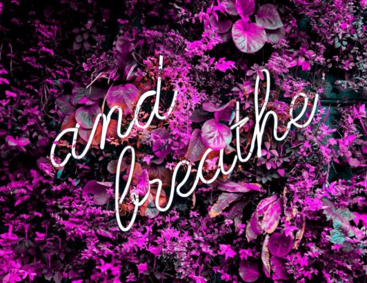 White neon sign reading and breathe surrounded by vibrant purple foliage, symbolizing mindfulness, calm, and mental wellness.